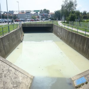 Mutnim potokom Kustošak plutaju uginule ribe