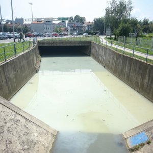 Mutnim potokom Kustošak plutaju uginule ribe