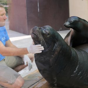 Životinje Zoološkog vrta grada Zagreba