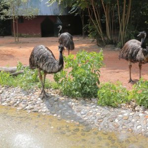 Životinje Zoološkog vrta grada Zagreba