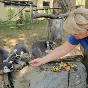 Životinje Zoološkog vrta grada Zagreba