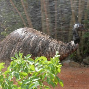 Životinje Zoološkog vrta grada Zagreba