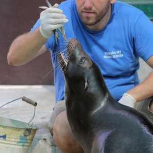 Životinje Zoološkog vrta grada Zagreba