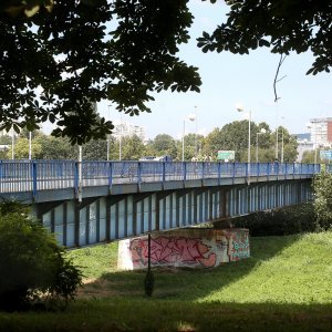 Pješački Savski most