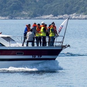 Kineski građevinari u pratnji hrvatske policije pregledali trasu budućeg mosta Pelješac