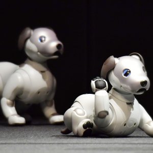 Sony Aibo