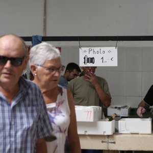 Fotografiranje čišćenja ribe u ribarnici naplaćuje se jedan euro