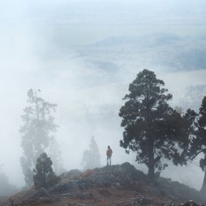 Autoportreti Elizabeth Gadd