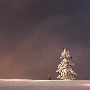 Autoportreti Elizabeth Gadd