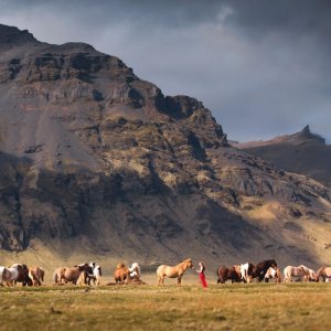 Autoportreti Elizabeth Gadd