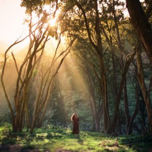 Autoportreti Elizabeth Gadd