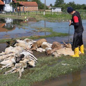 Posljedica katastrofalne poplave u Rajevu Selu u svibnju 2014.