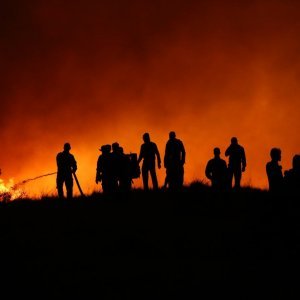 Prizor s požarišta u Gornjoj Podstrani u rujnu 2017.