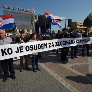 Transparenti u Vukovaru