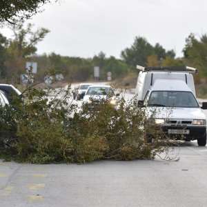 Jako jugo srušilo stablo na cestu u Dubravi kod Šibenika