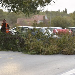 Jako jugo srušilo stablo na cestu u Dubravi kod Šibenika
