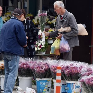 Od ranog jutra građani Šibenika kupuju cvijeće prije odlaska na groblje