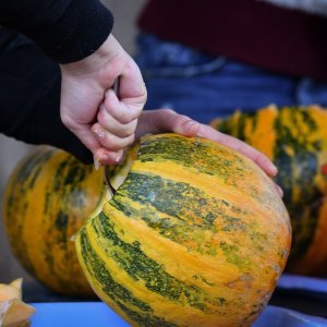 U zagrebačkom Zoološkom vrtu održana bundevijada