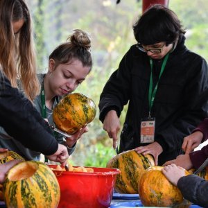 U zagrebačkom Zoološkom vrtu održana bundevijada