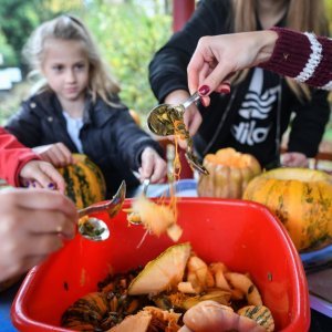 U zagrebačkom Zoološkom vrtu održana bundevijada