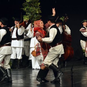 Ansambl Lado održao koncert u prepunoj dvorani Ivane Brlić-Mažuranić