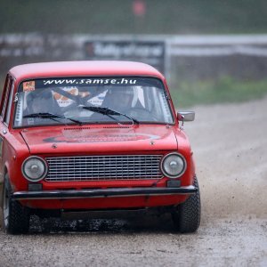 Ljubitelji oktana i brzine uživali u automobilističkoj utrci Rally Show Santa Domenica