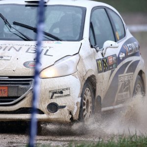 Ljubitelji oktana i brzine uživali u automobilističkoj utrci Rally Show Santa Domenica