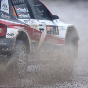 Ljubitelji oktana i brzine uživali u automobilističkoj utrci Rally Show Santa Domenica