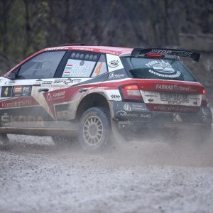 Ljubitelji oktana i brzine uživali u automobilističkoj utrci Rally Show Santa Domenica