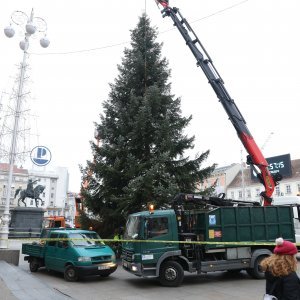 Postavljanje doniranog bora na Trg bana Jelačića