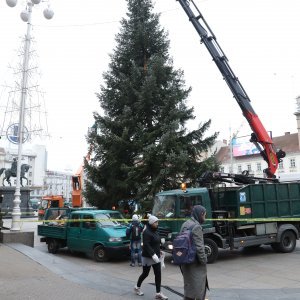 Postavljanje doniranog bora na Trg bana Jelačića