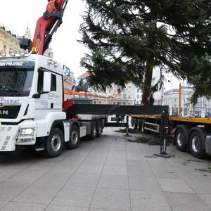 Postavljanje doniranog bora na Trg bana Jelačića