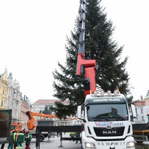 Postavljanje doniranog bora na Trg bana Jelačića