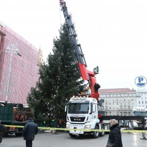 Postavljanje doniranog bora na Trg bana Jelačića