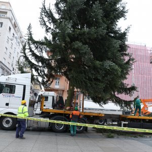 Postavljanje doniranog bora na Trg bana Jelačića