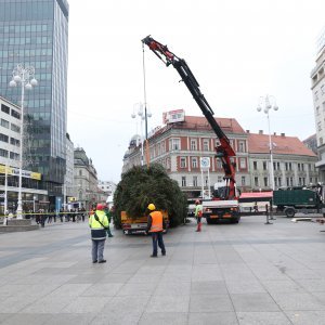 Postavljanje doniranog bora na Trg bana Jelačića