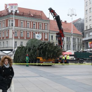 Postavljanje doniranog bora na Trg bana Jelačića