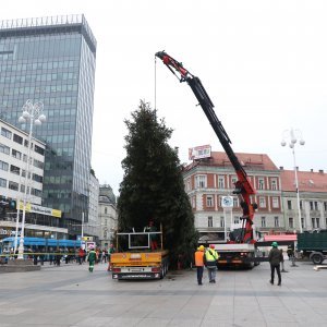 Postavljanje doniranog bora na Trg bana Jelačića