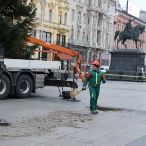 Postavljanje doniranog bora na Trg bana Jelačića