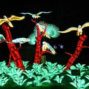 Festival svjetla u Parizu