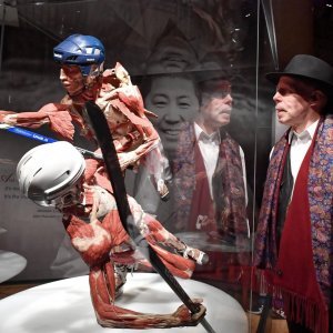 Izložba Body Worlds: Cycle of Life