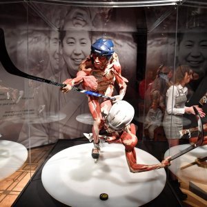 Izložba Body Worlds: Cycle of Life