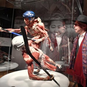 Izložba Body Worlds: Cycle of Life