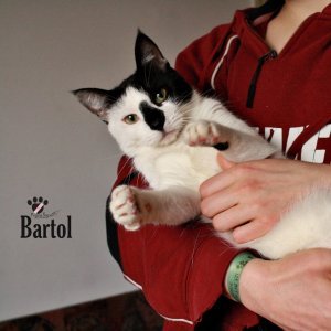 Bartol