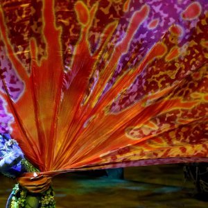 Turneja Cirque du Soleil Toruk - Prvi Let, inspirirana filmskim hitom Avatar