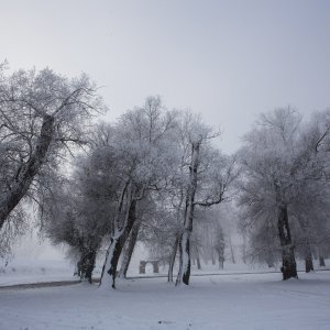 Zimska idila na lijevoj obali Drave u Osijeku