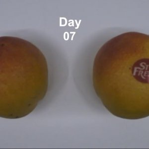 Naljepnice koje produžavaju rok trajanja voća