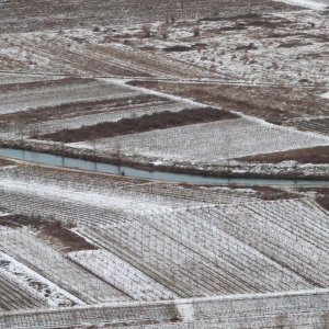 Vinogradi u Pojezerju prekriveni snijegom