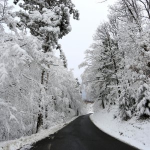 Snježna idila na Sljemenu