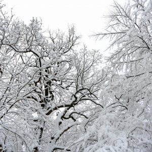 Snježna idila na Sljemenu